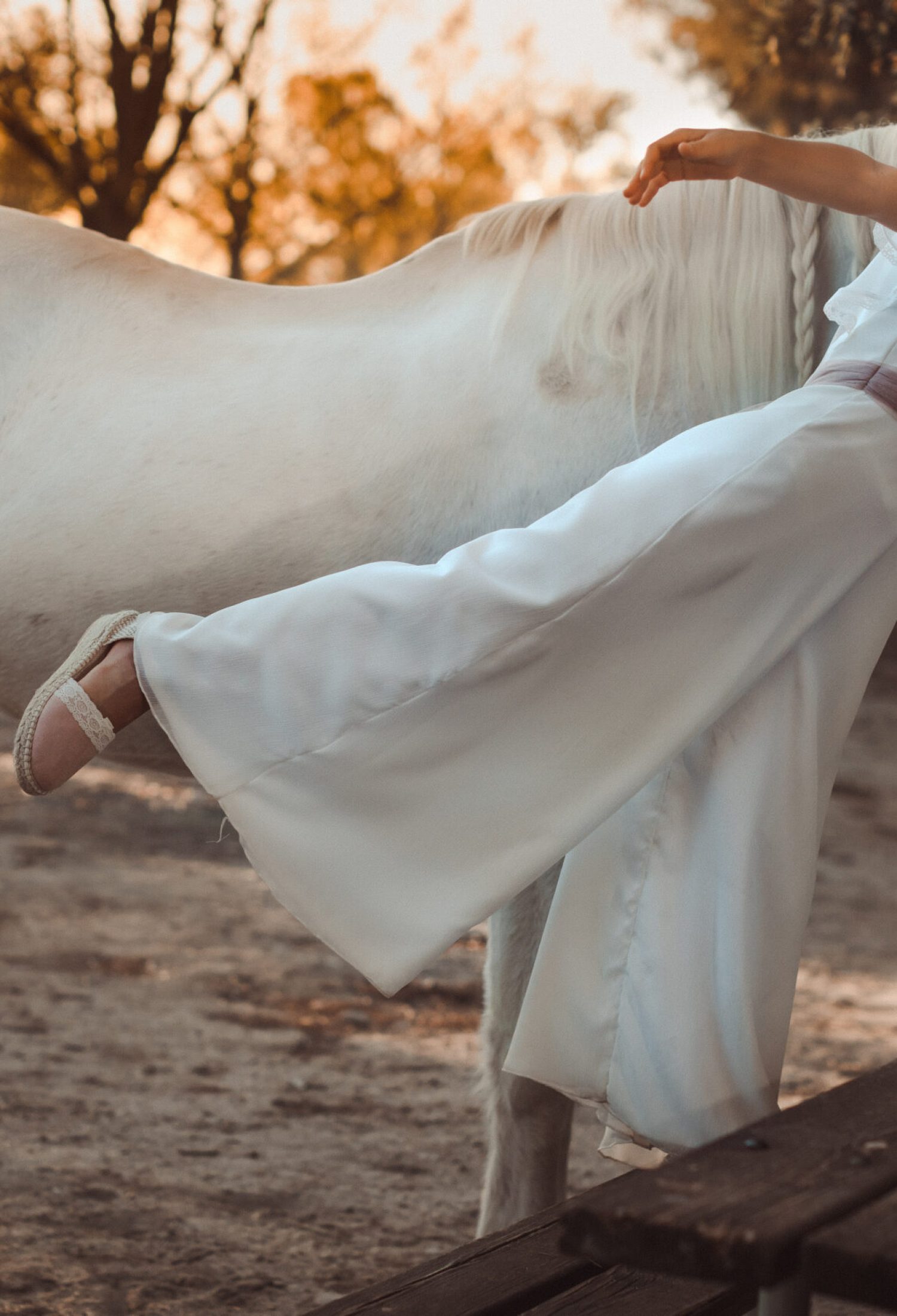 MONOPUESTA DE SOLblancobajaRESO10